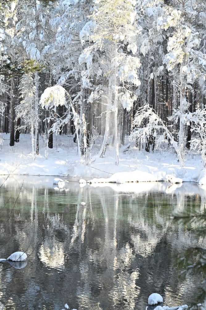 Photograph by Алексей Кушнарёв