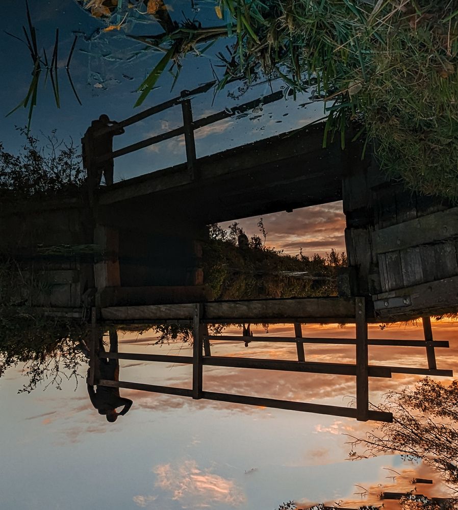 Фотография автора Ксения Шляйхер