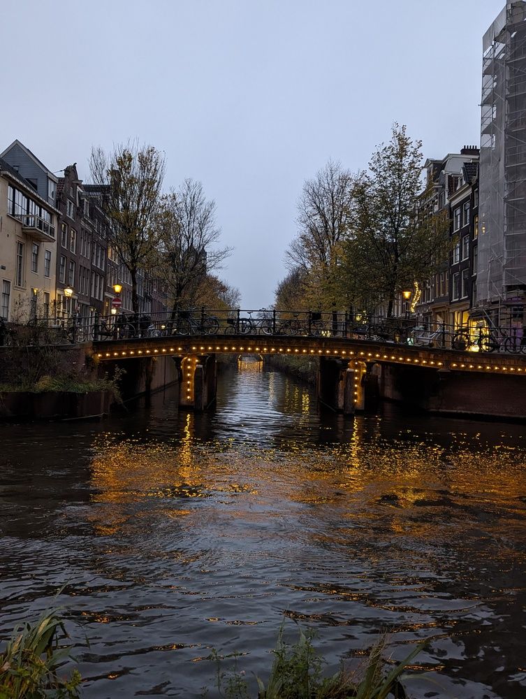 Фотография автора Ксения Шляйхер