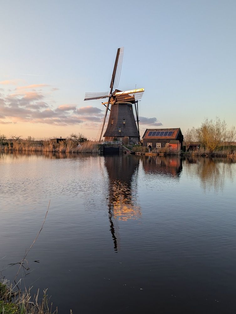 Фотография автора Ксения Шляйхер