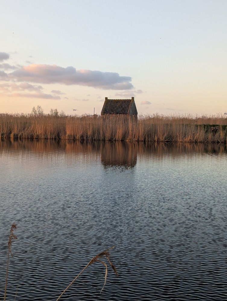 Фотография автора Ксения Шляйхер