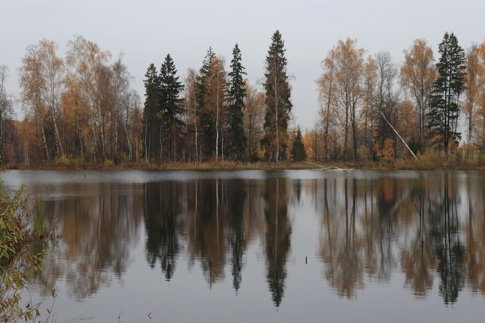Водный мир
