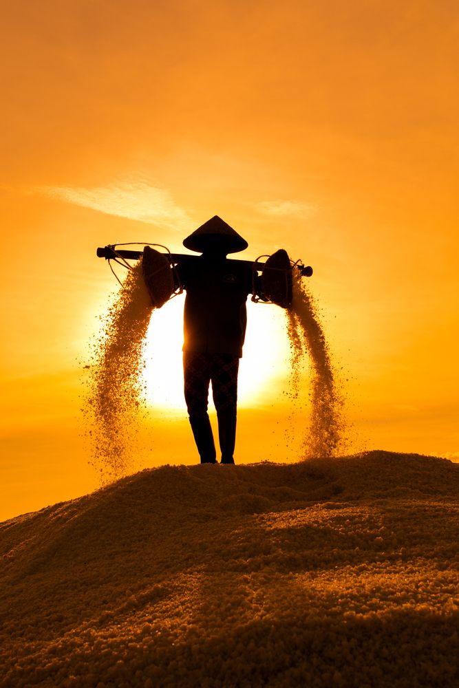 Фотография автора Татьяна Петросьян