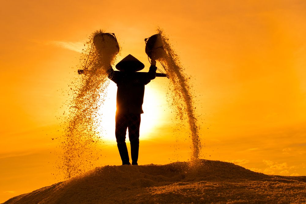 Фотография автора Татьяна Петросьян