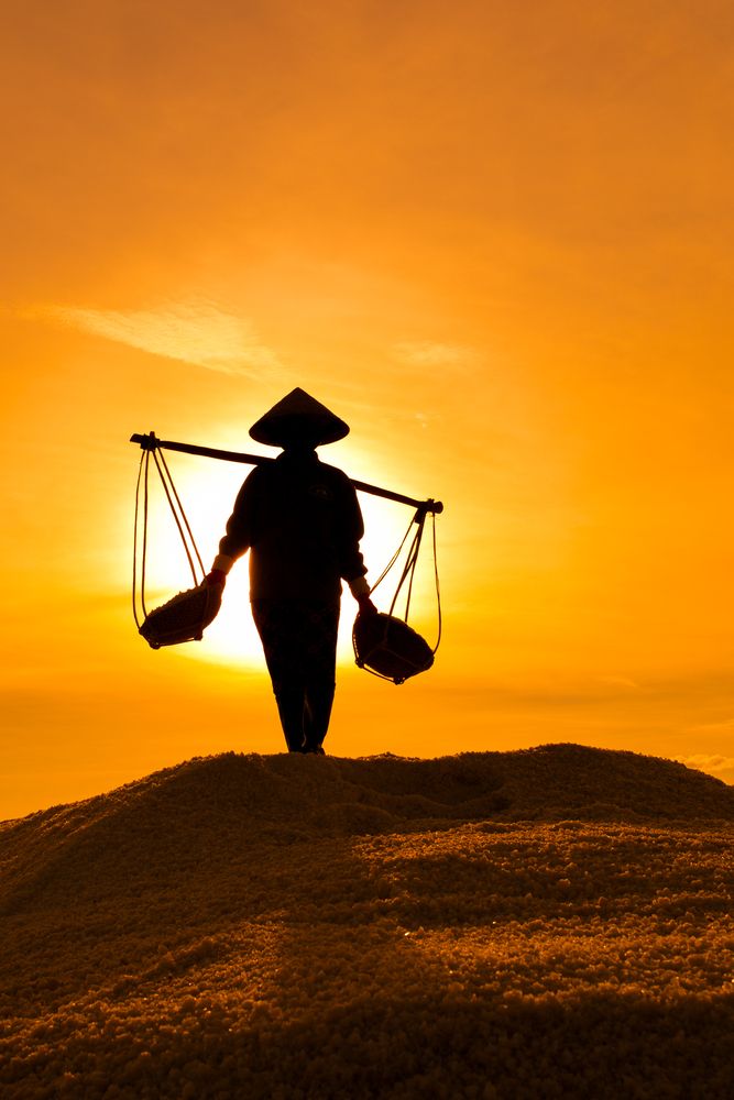 Фотография автора Татьяна Петросьян