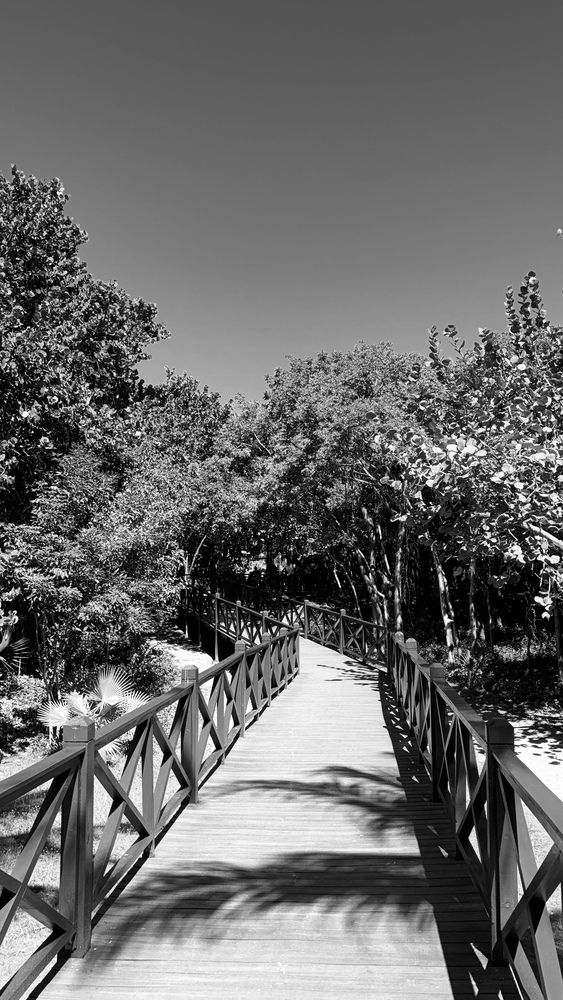 Photograph by Наталья Липко