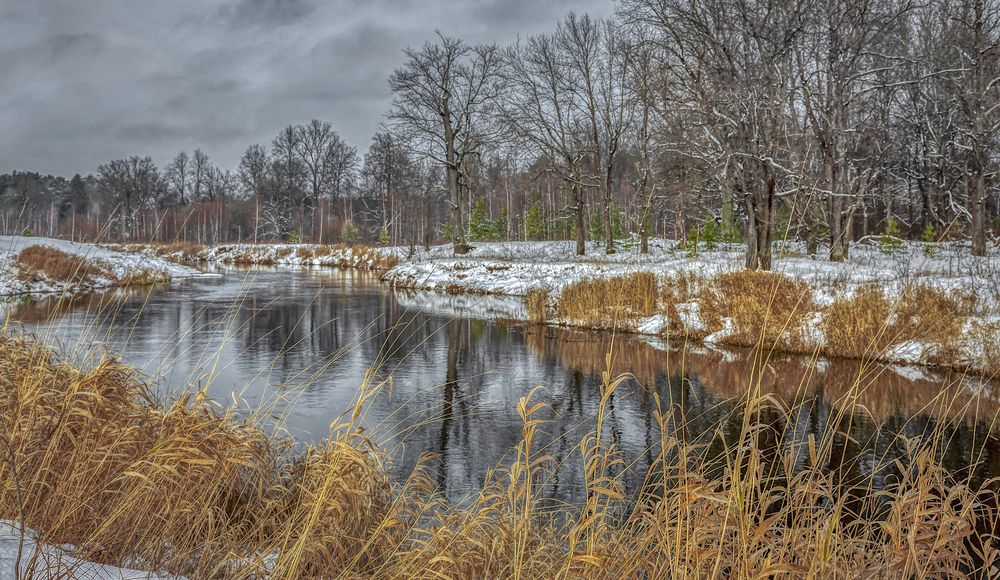 Фотография автора Александр Сальников