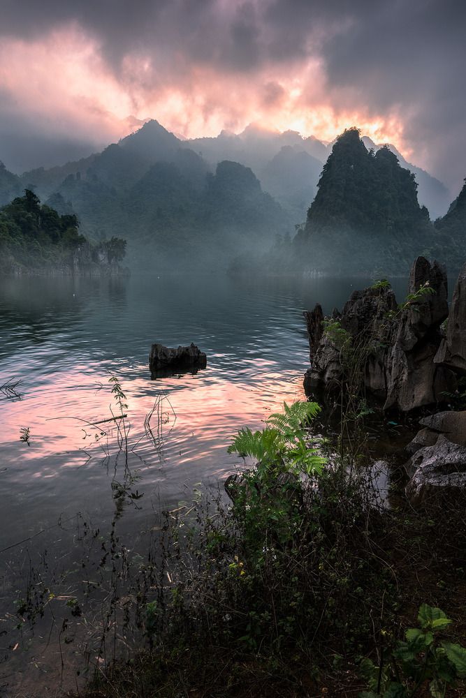 Фотография автора Dao Hoang