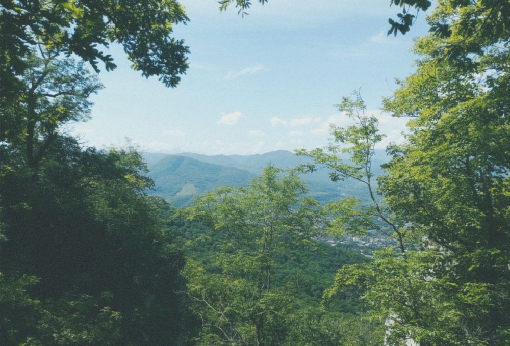 Photograph by Савина Анастасия Николаевна