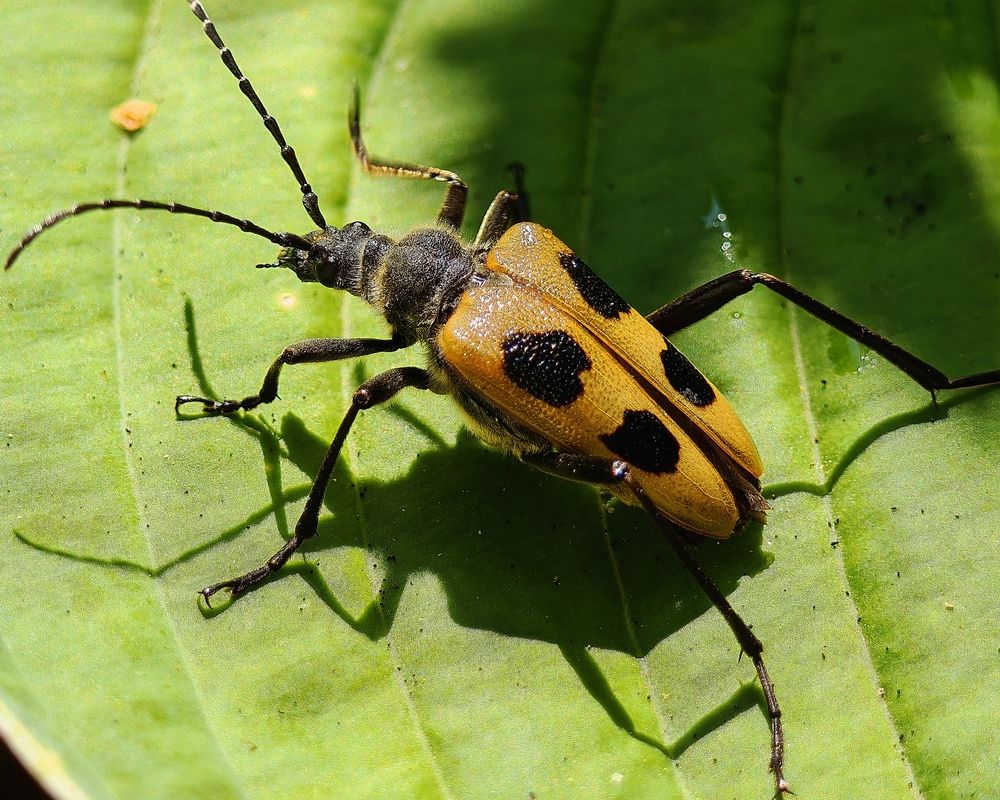 Фотография автора Людмила Прокофьева