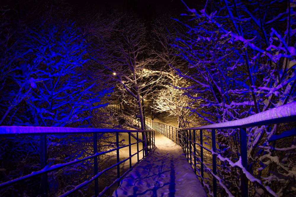 Фотография #13411622