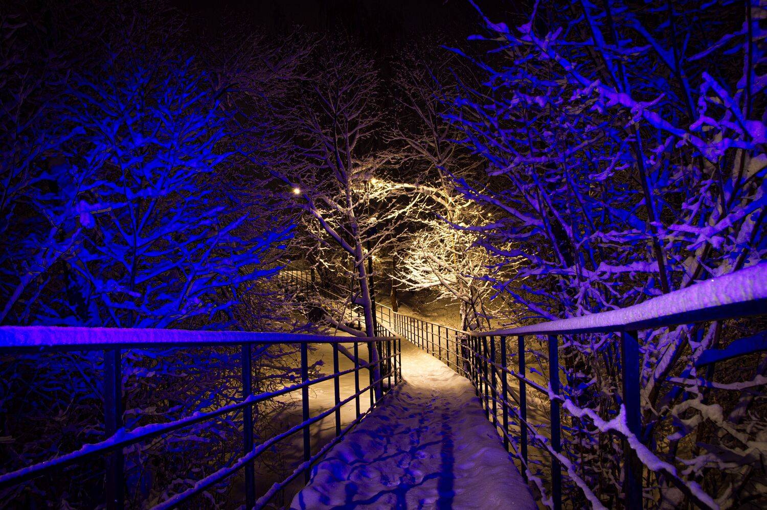 Фотография #13411622