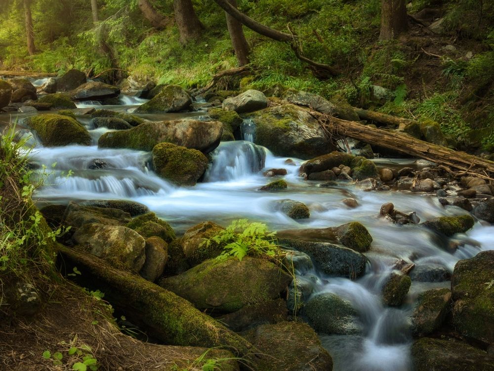 Photograph by Andrii Didushko