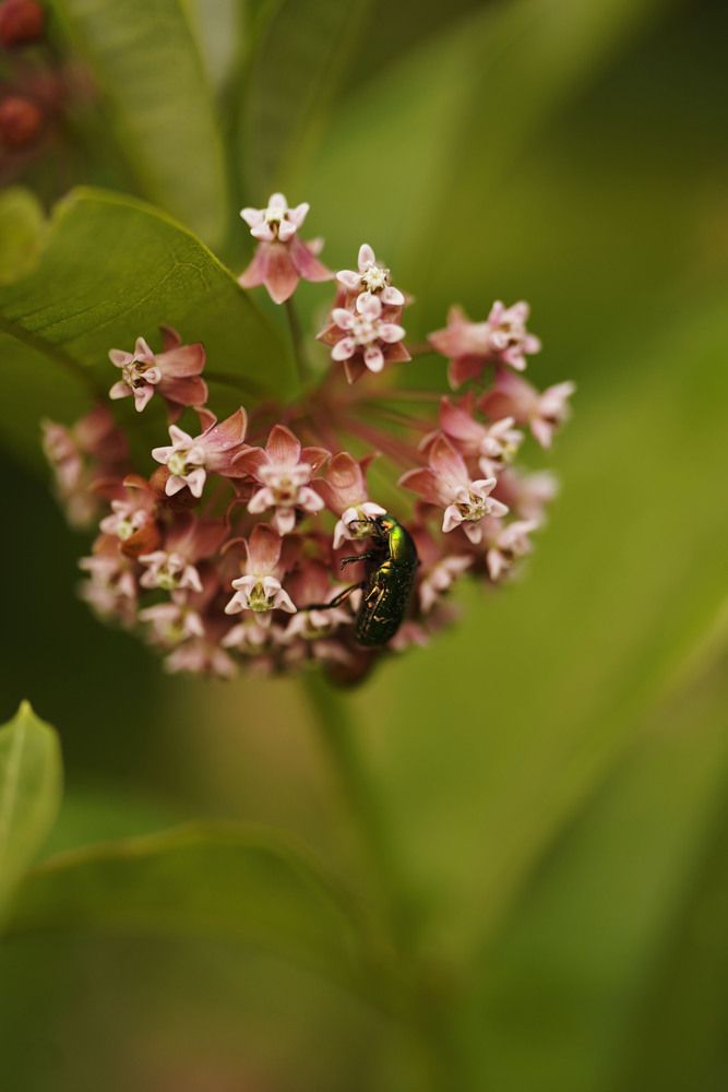 Photograph by Анна Борисова