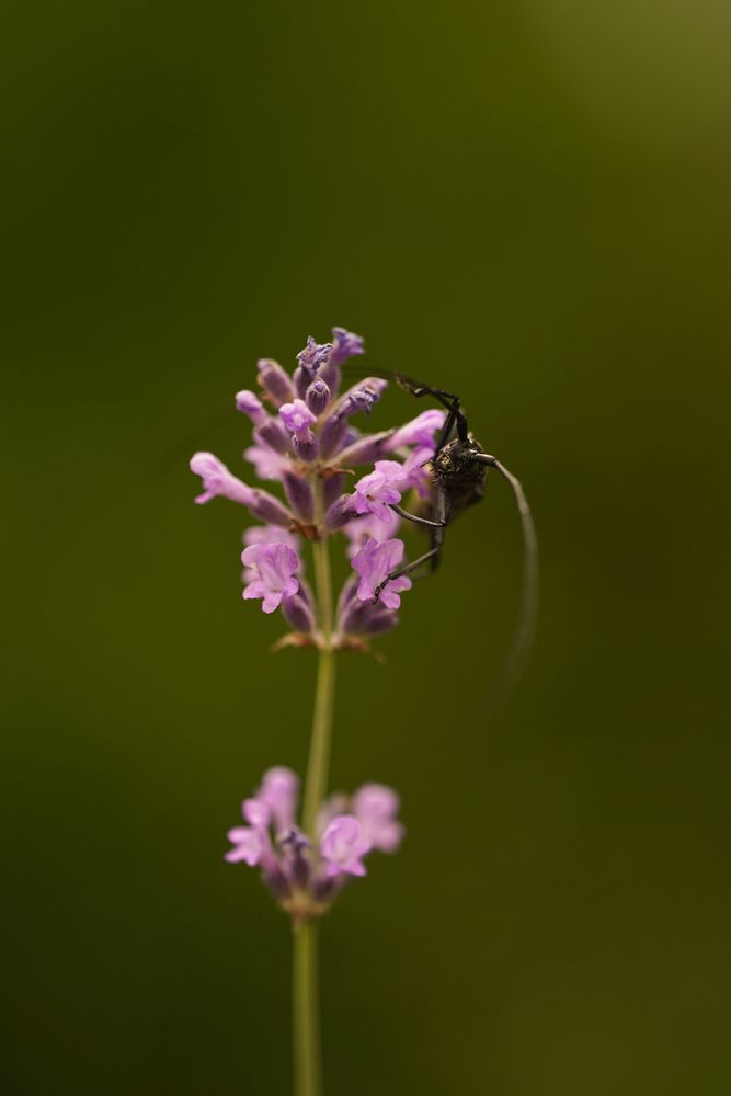 Photograph by Анна Борисова