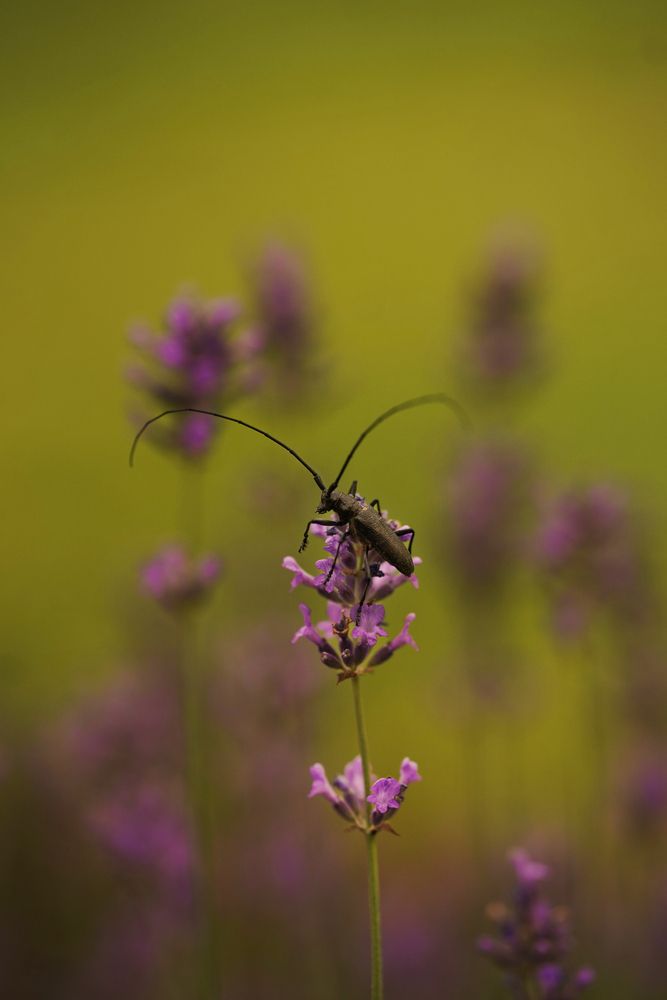 Photograph by Анна Борисова