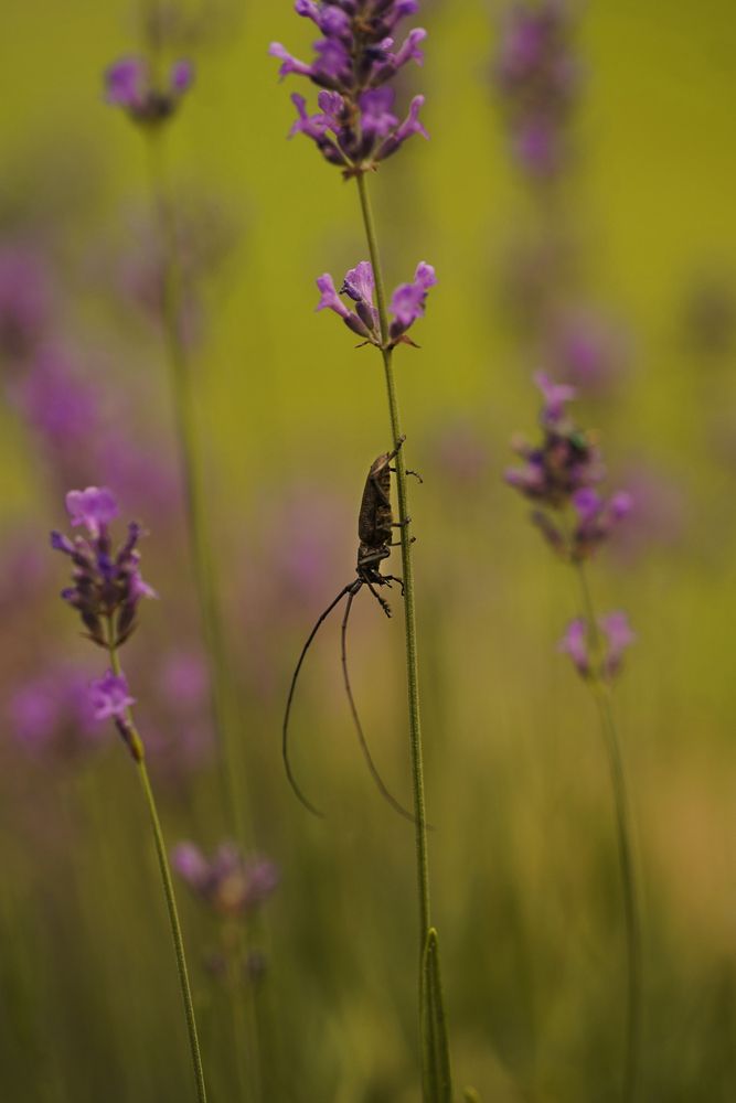 Photograph by Анна Борисова