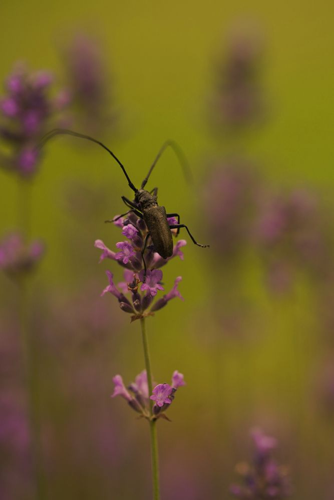 Photograph by Анна Борисова