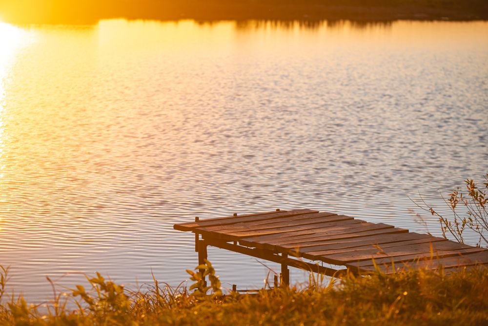 Фотография автора Ольга Ильина