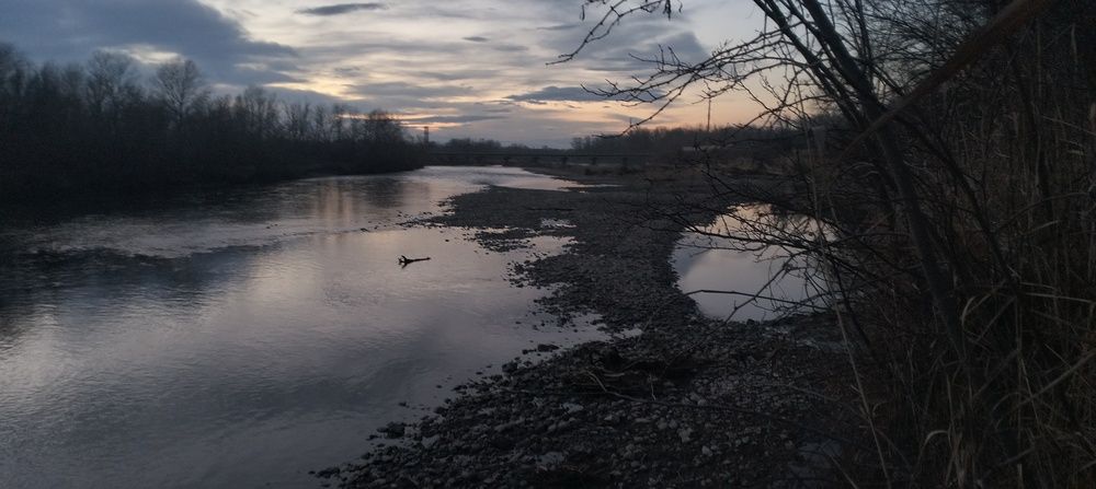 Photo #13411836