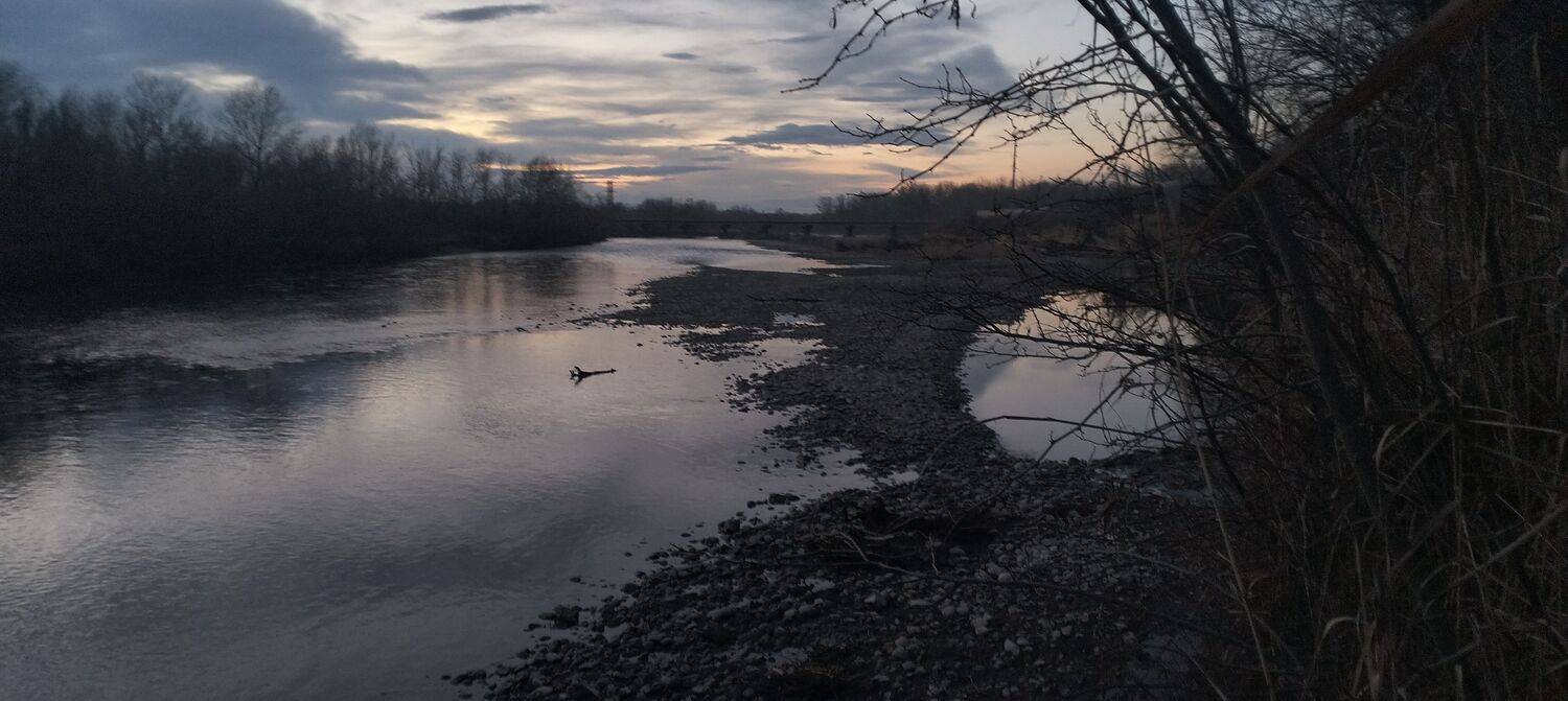 Photo #13411836