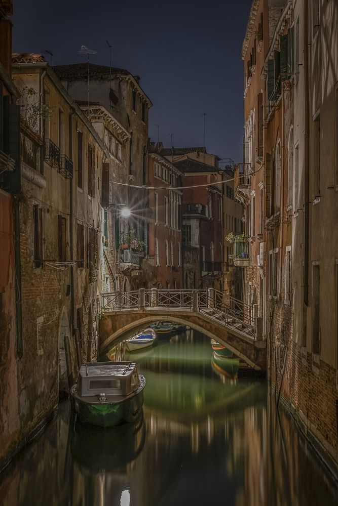 Nights of poetry