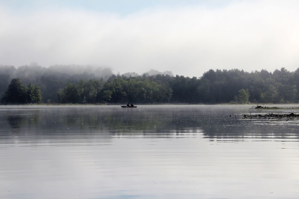 Фотография автора Зеленая Элина