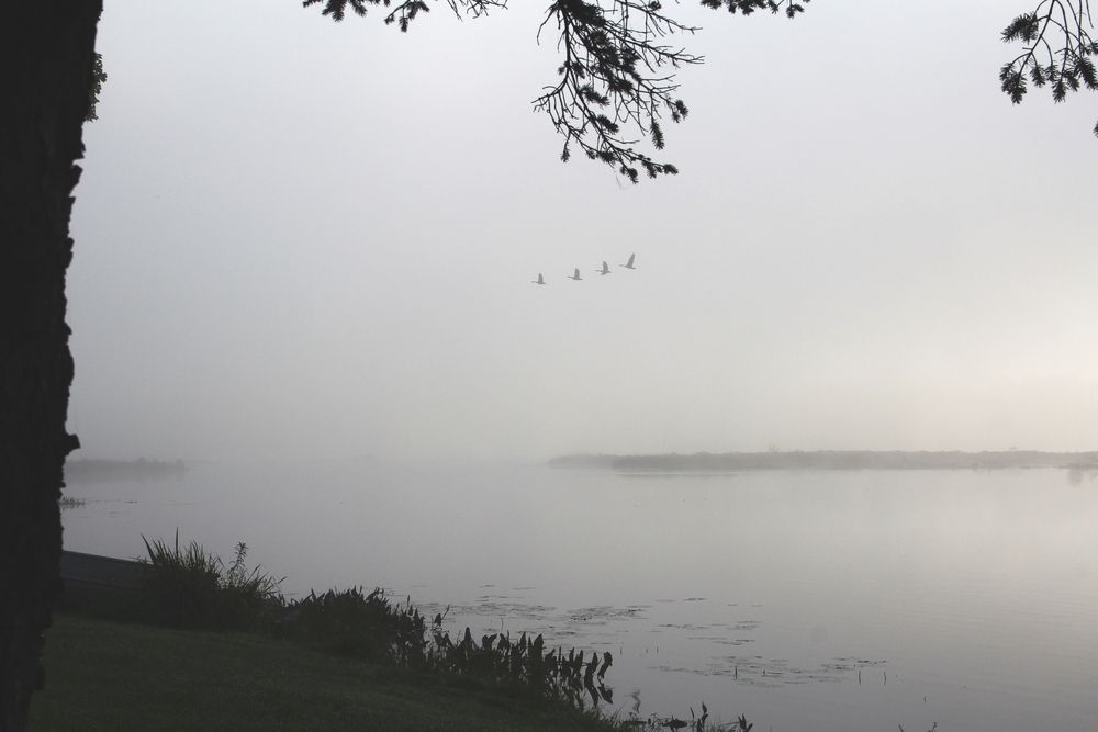 Фотография автора Зеленая Элина