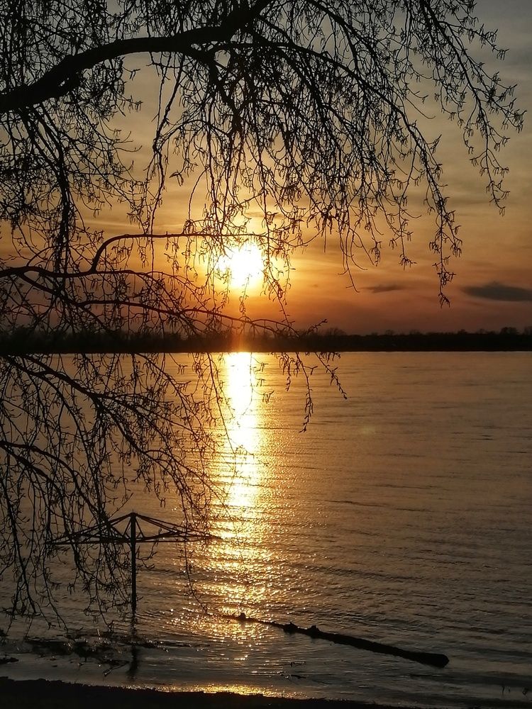 Photograph by Валентина Анюхина