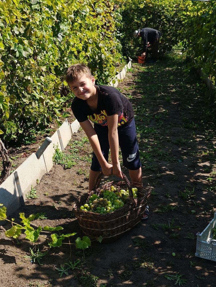 Photograph by Елена Александрова