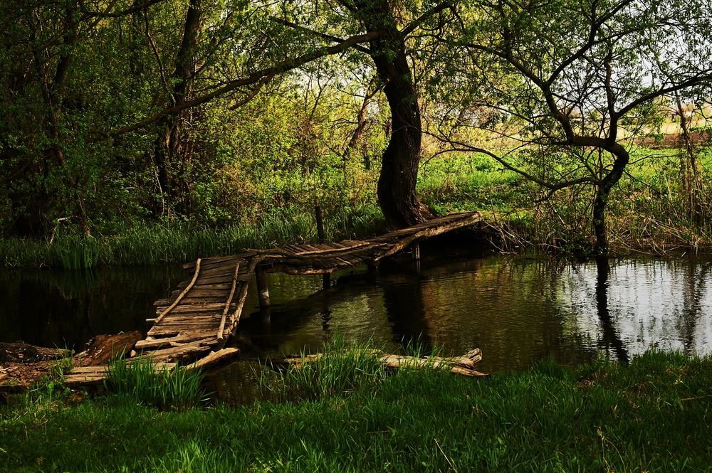 Photograph by Сергей Пузырев