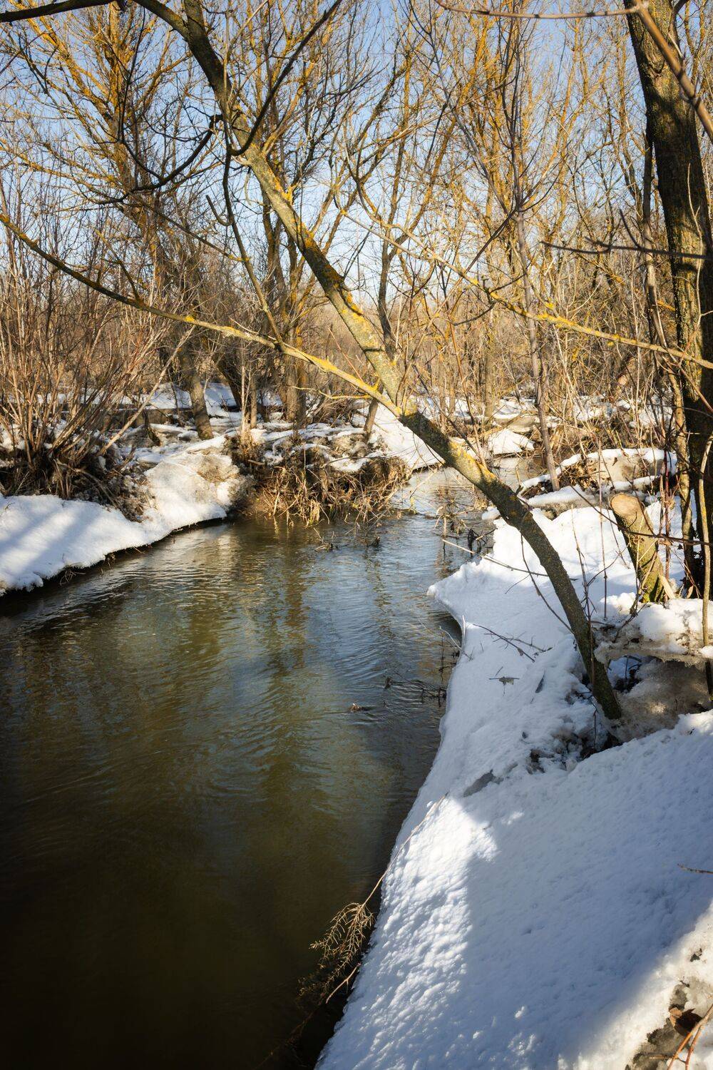 Thawed River