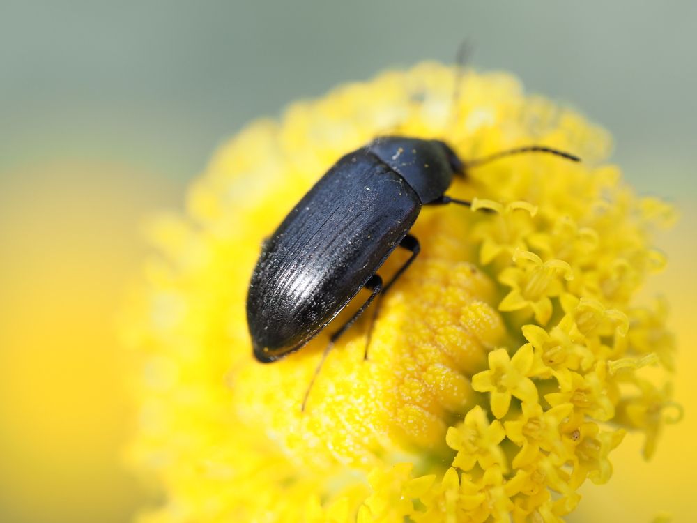 Photograph by Сергей Борисов