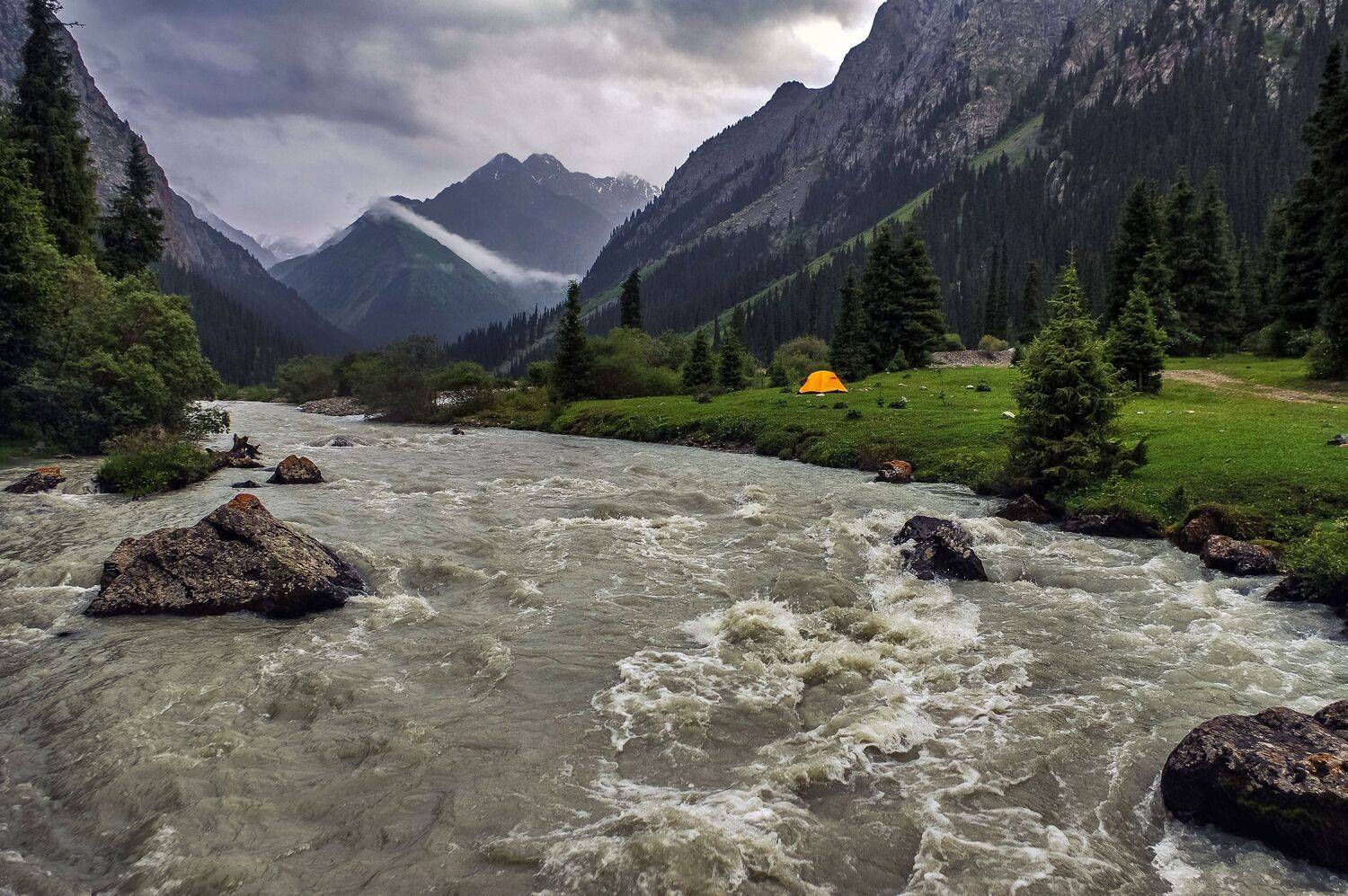 Фотография #13412042