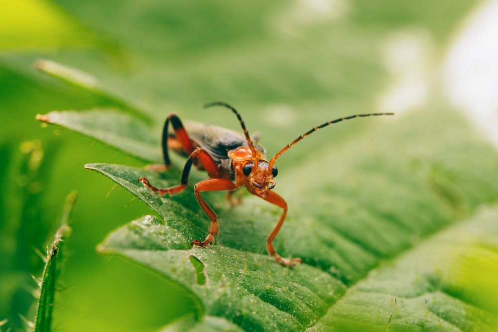Photograph by Ольга Таланцева