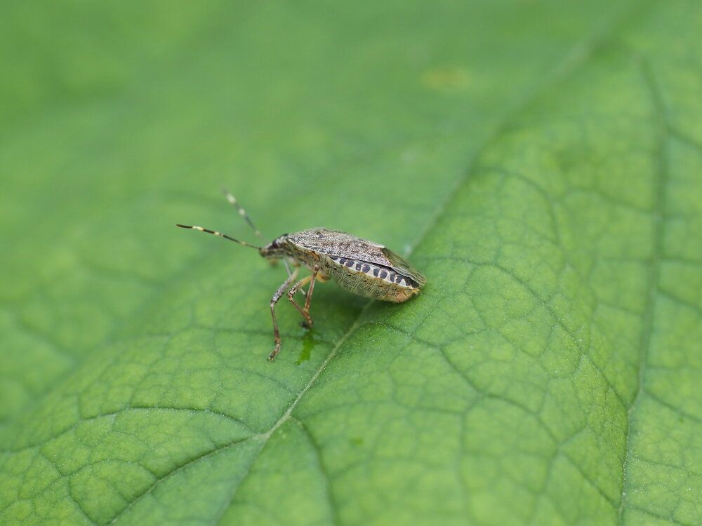 Photograph by Сергей Борисов