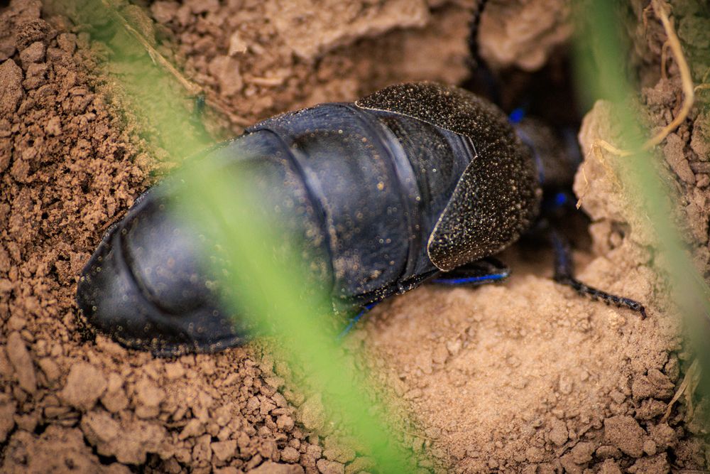 Photograph by Сергей Шестов