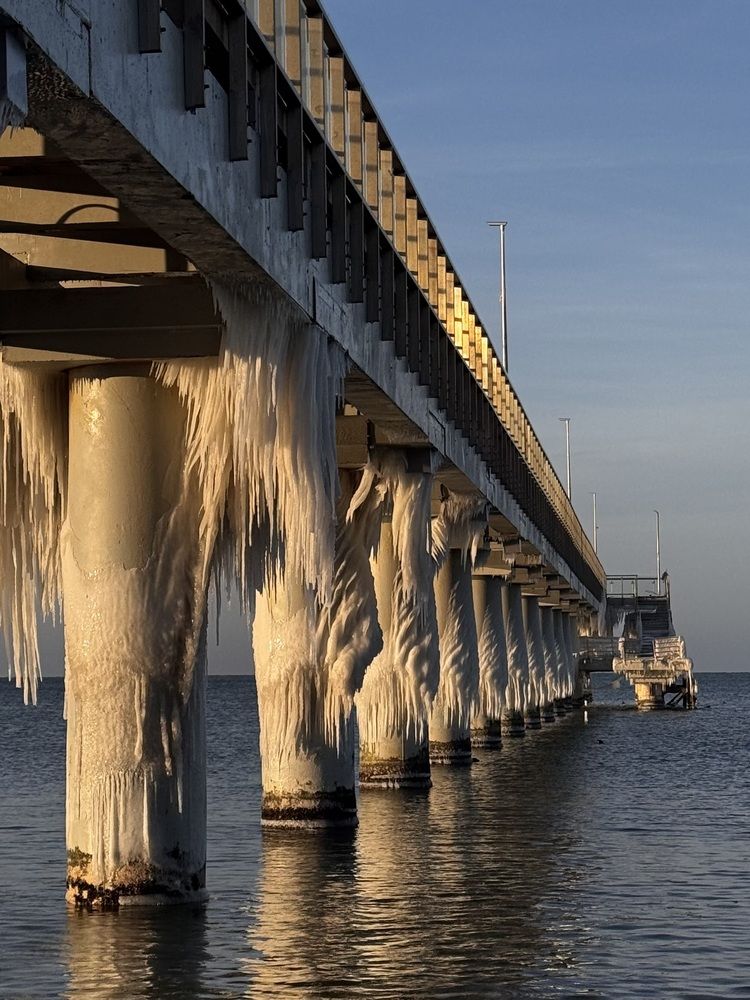 Фотография автора Жанна Колесникова
