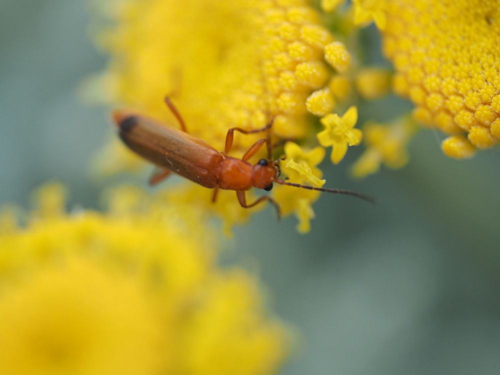 Photograph by Сергей Борисов