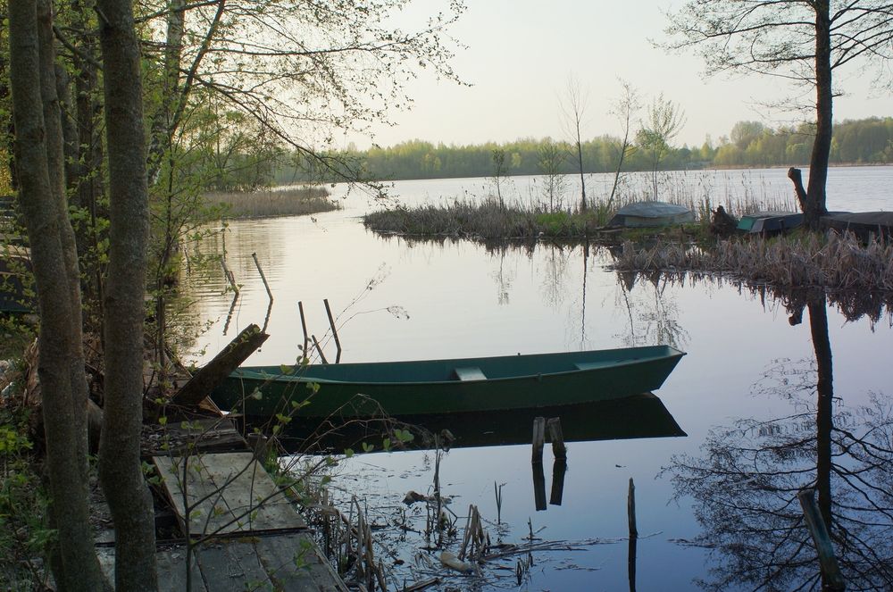 Photograph by Светлана Логинова