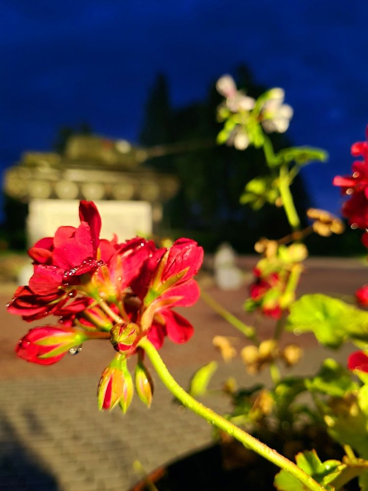 Фотография автора Georgiy Vibe