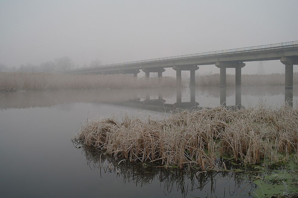 Photograph by Евгений Кулик