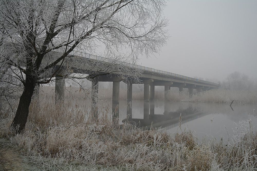 Photograph by Евгений Кулик