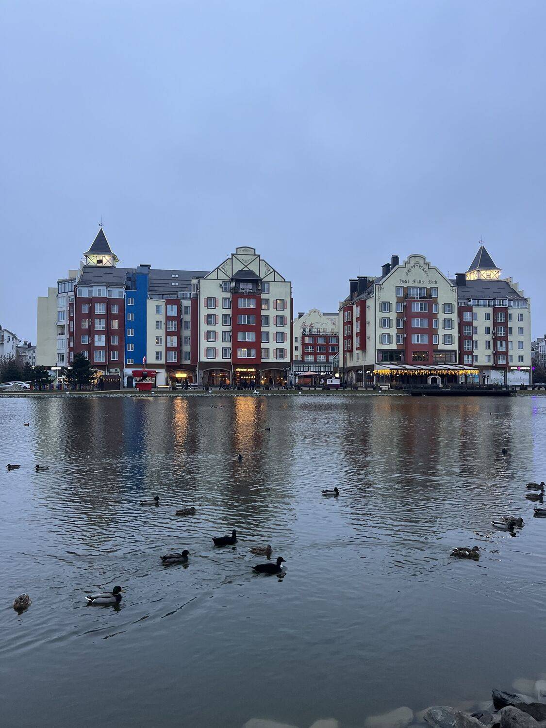 Photo #13412285