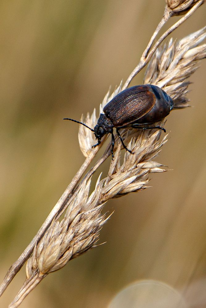 Photograph by Надежда Хрусталёва