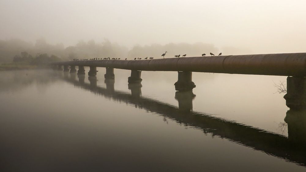 Утренний туман