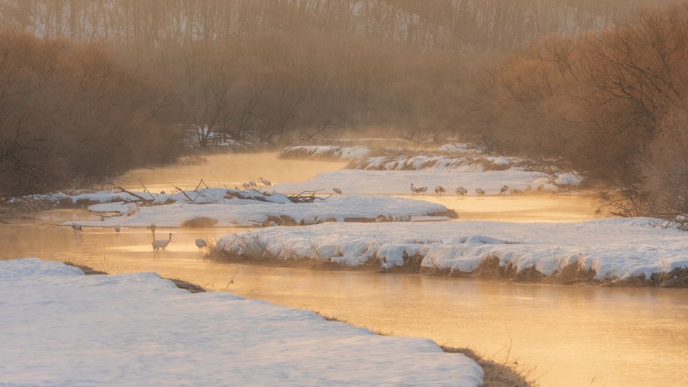 Фотография автора Eric Poon