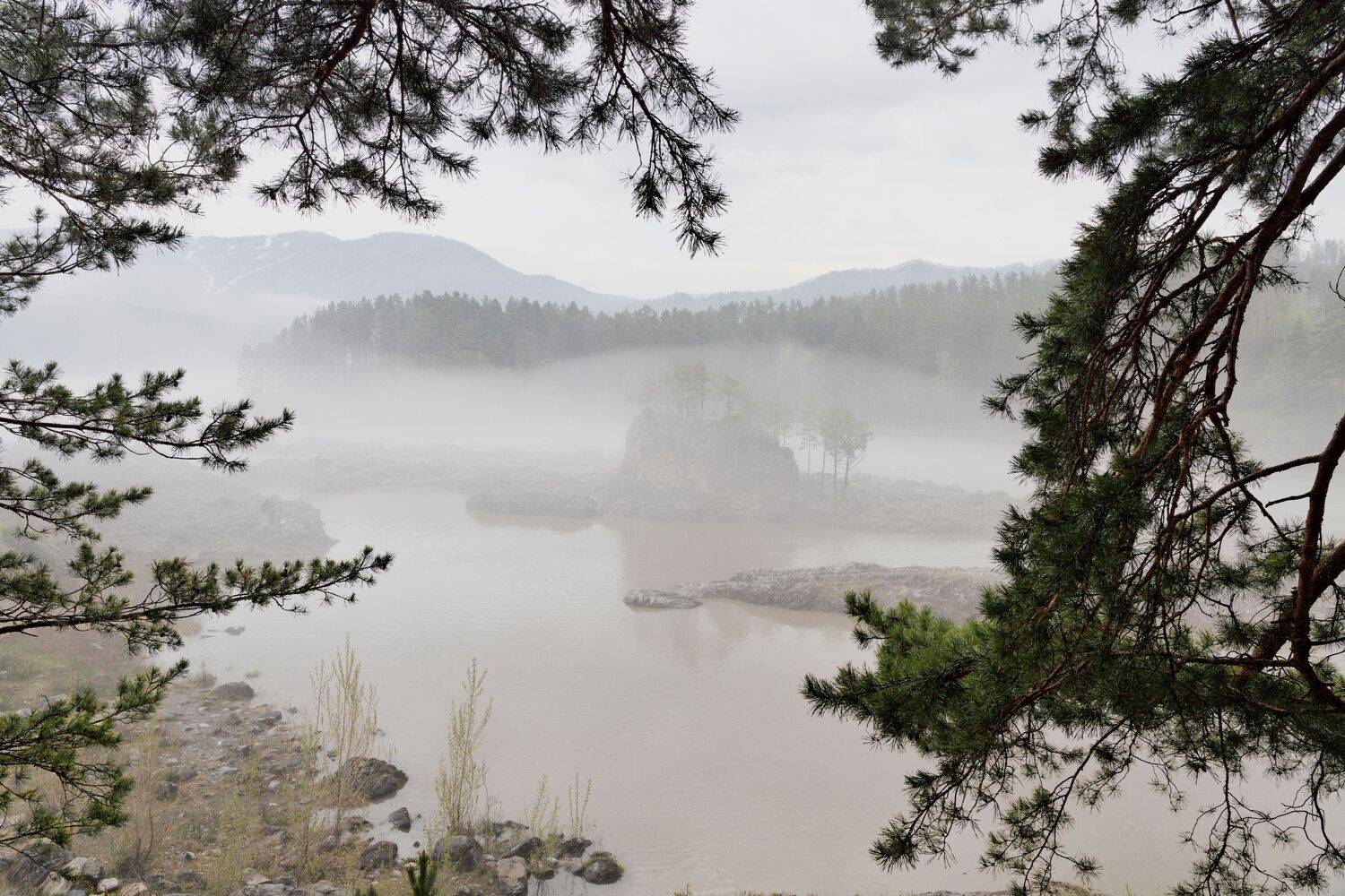 Photo #13412567