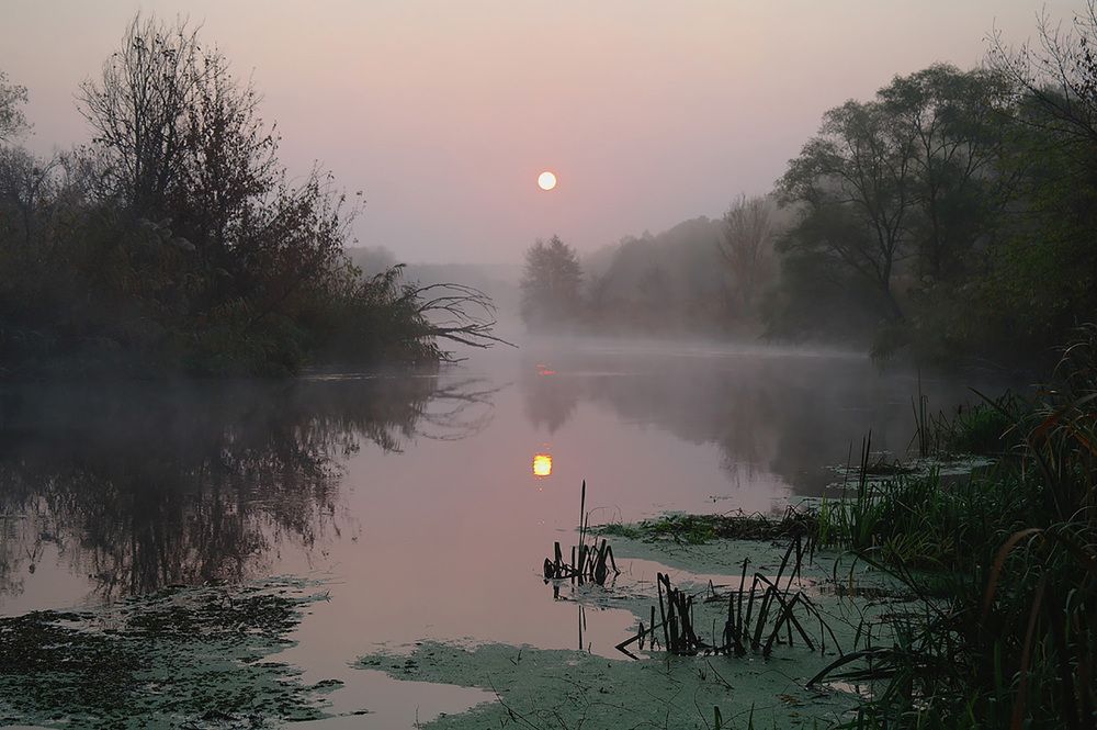 Photograph by Евгений Кулик