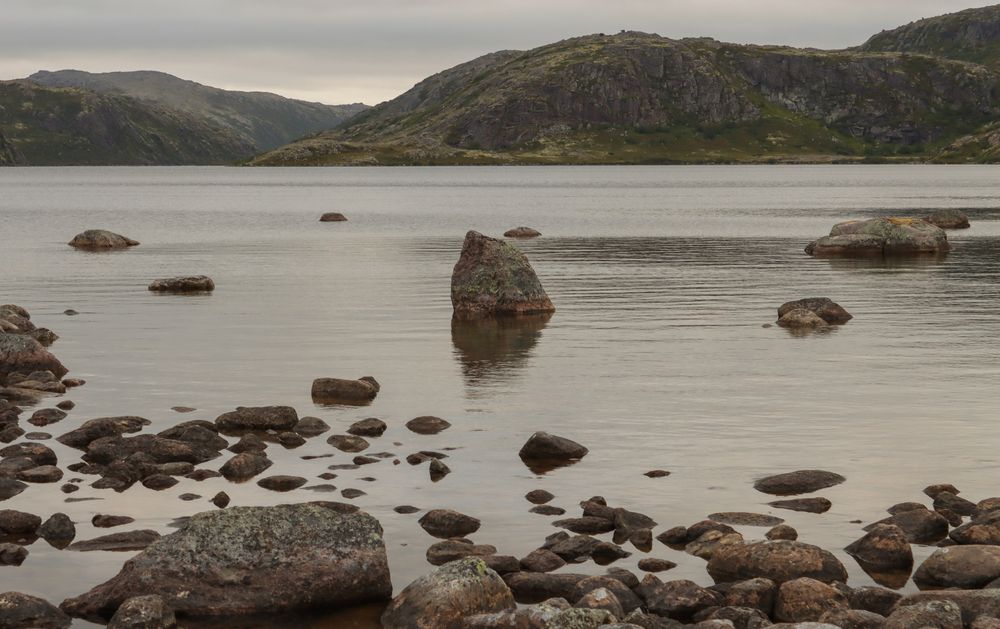 Photograph by Людмила Сарыцина